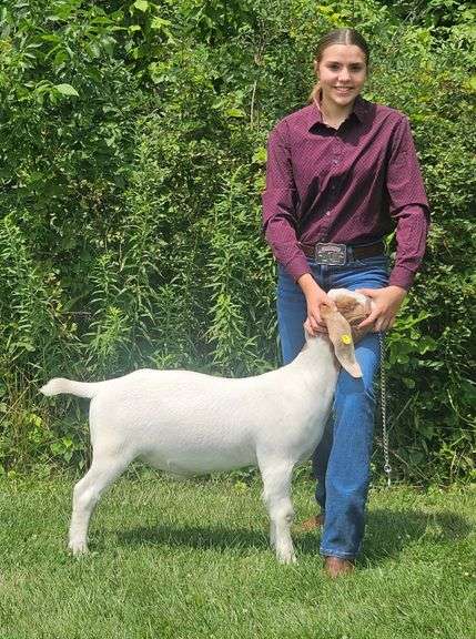 Avery  Beyer  Pitchfork Pals 4-H Club