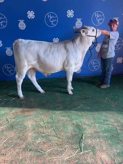 Lucas  Dalton - GRAND Dairy Cross