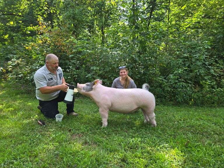 LeeAnn  Baise  Breeders & Feeders