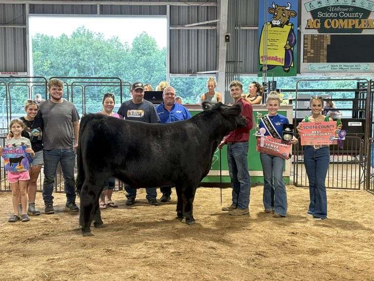 Reserve Champion Steer & Grand Best Scioto County Steer - Travis Thompson Wild Outsiders