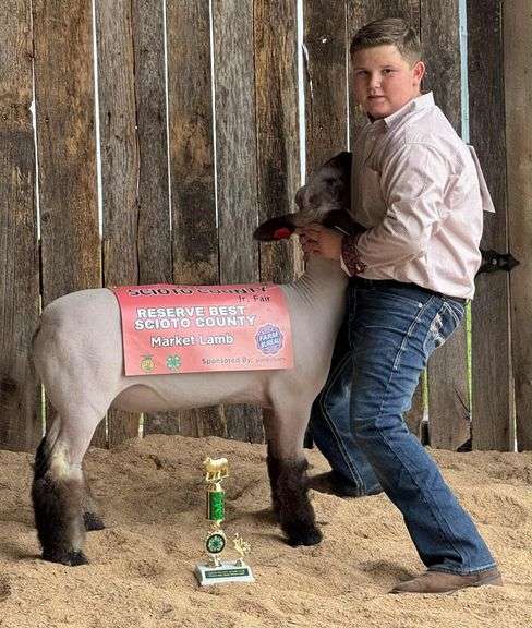 Reserve Best Scioto County Sheep - Carl Cronin Ring Raider’s