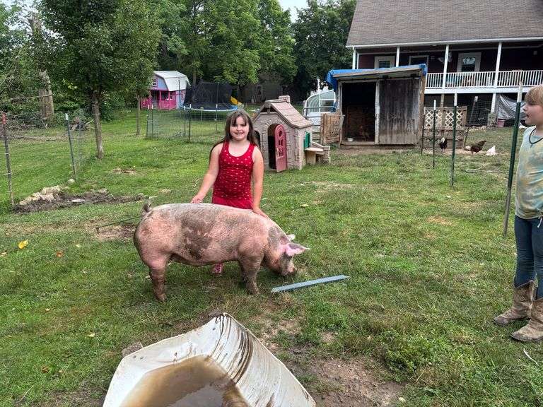 Anastasiya  Paterek  Geauga Caprine Kids