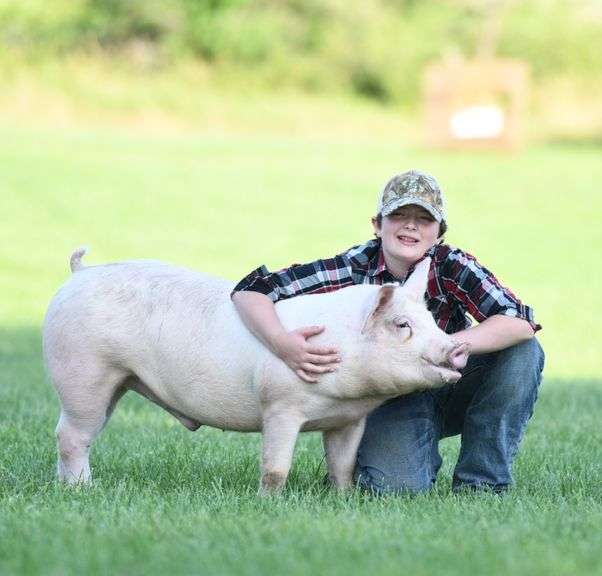 Everett  Abbey  Brighton Buckeyes 4-H Club