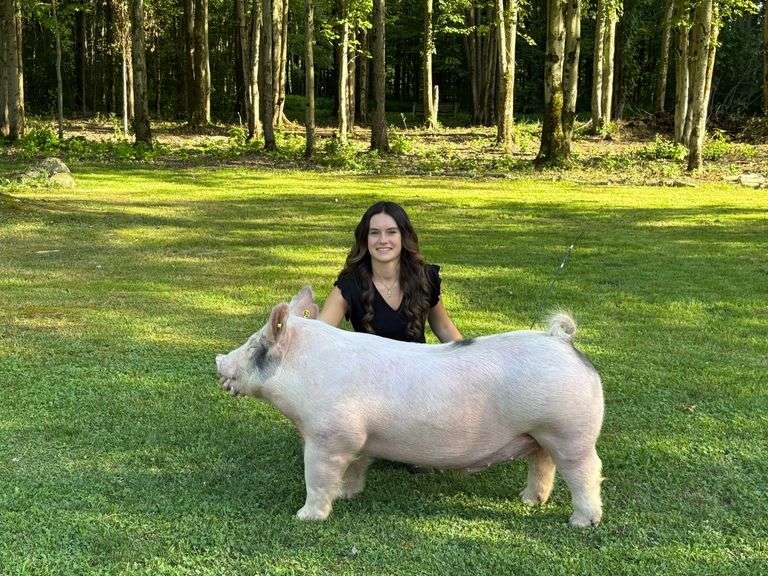 Addison Heilman  - GRAND CHAMPION SWINE  Geauga Beef and Swine