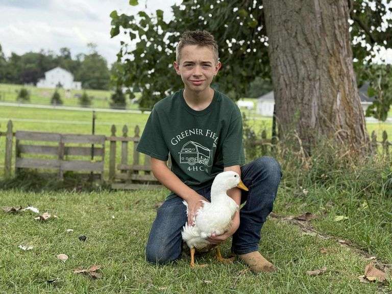 Hunter   Amon  Greener Fields