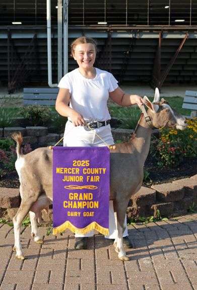 Dairy Goat Milk . These funds are divided up among all Dairy Goat exhibitors.