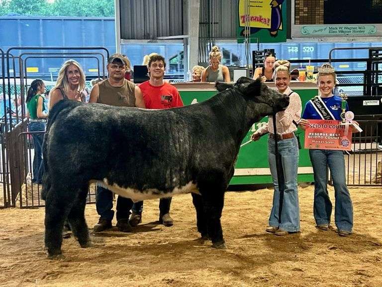 Reserve Best Scioto County Steer - Lucy Montgomery Animals R Us
