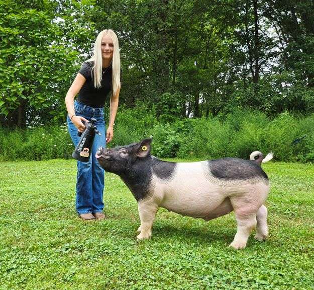 Peyton  Alverson  First Class Kids & Kritters 4-H Club