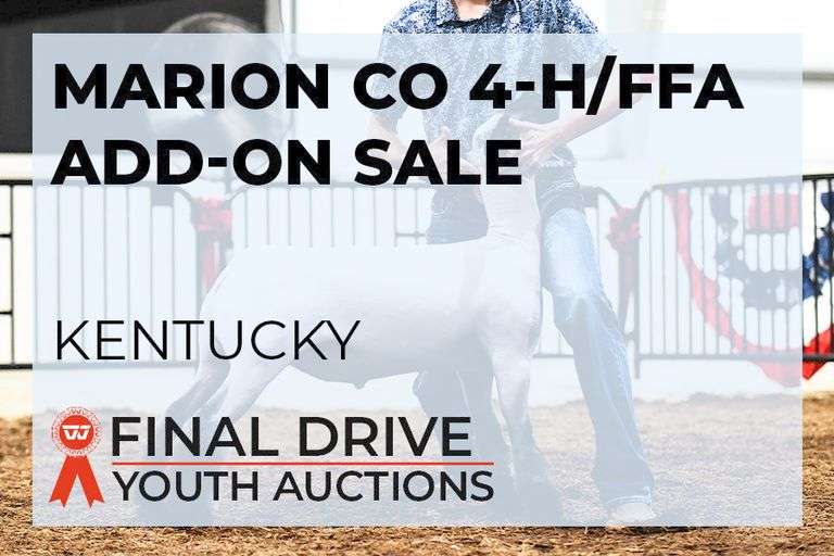 Marion Co 4-H/FFA Add-On Sale - Kentucky  Opens 9/13 at noon - Closes 9/21 at midnight 