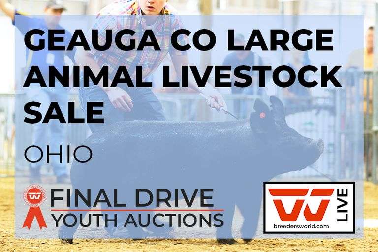 Geauga Co Large Animal Livestock Sale - Ohio  LIVE Sale Starts 9/5 at 4:00 pm Add-Ons Open 8/29 8:00 am- Closes 9/8 at midnight