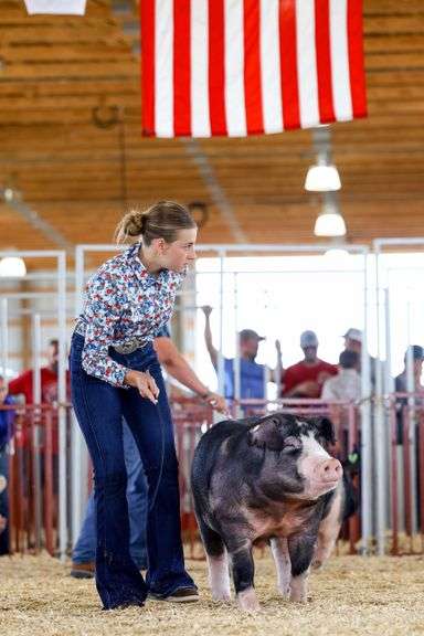 Chloe  Blakley  Blue Ribbon Livestock