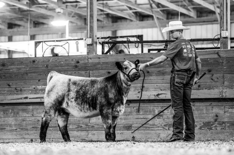Carson Barton - Grand Champion Market Beef