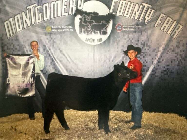 Jax  Black  Tom's Run Livestock