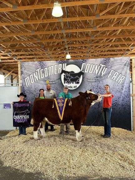 Presley  Black  Tom's Run Livestock
