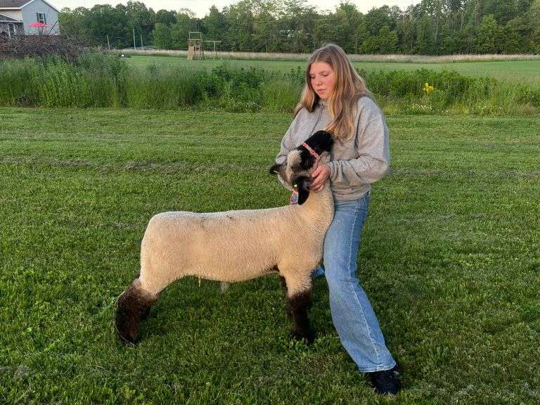 Rylee  Bloomfield  Sulphur Springs Star Farmers