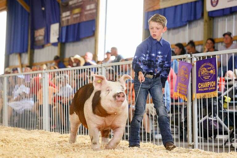 Levi  Burton  Blue Ribbon Livestock