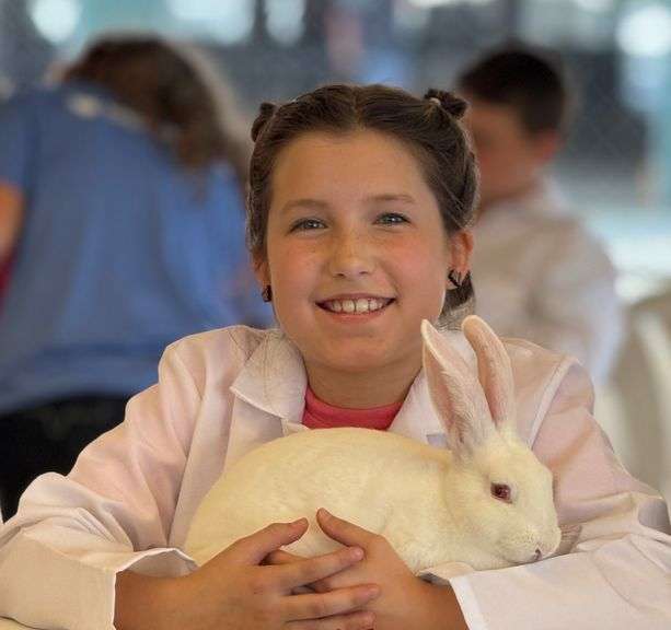 Adalyn Taylor - Reserve Champion Rabbit Pen