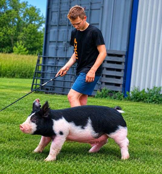 Capen  Bailey  Tom's Run Livestock