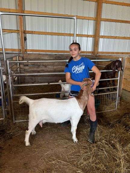 Anslee  Avila  Tom's Run Livestock