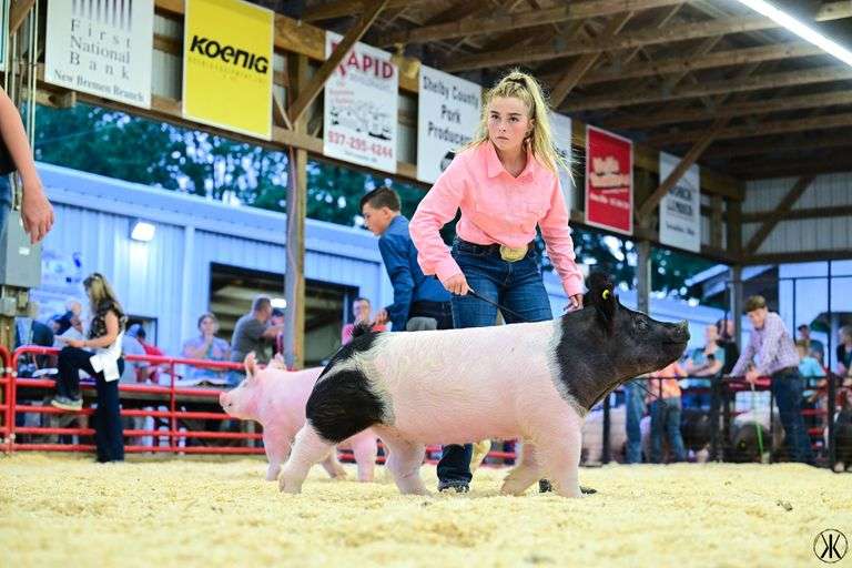 Brynleigh  Osysko  Progressive Livestock