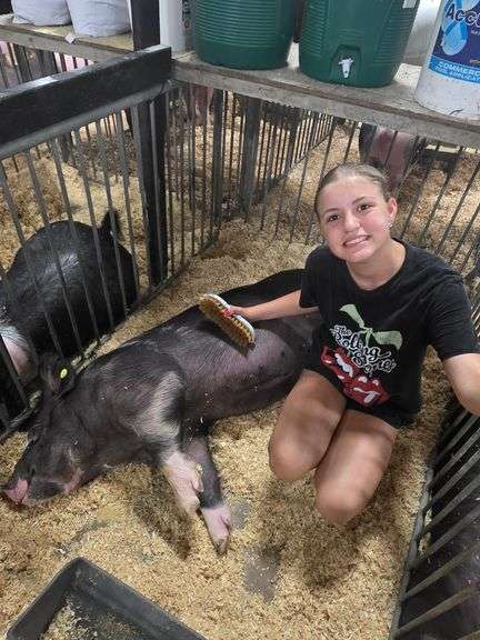 Ava  Wildermuth  Botkins livestock