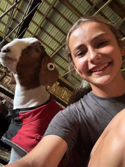 Ally Hawkins Greene Acres