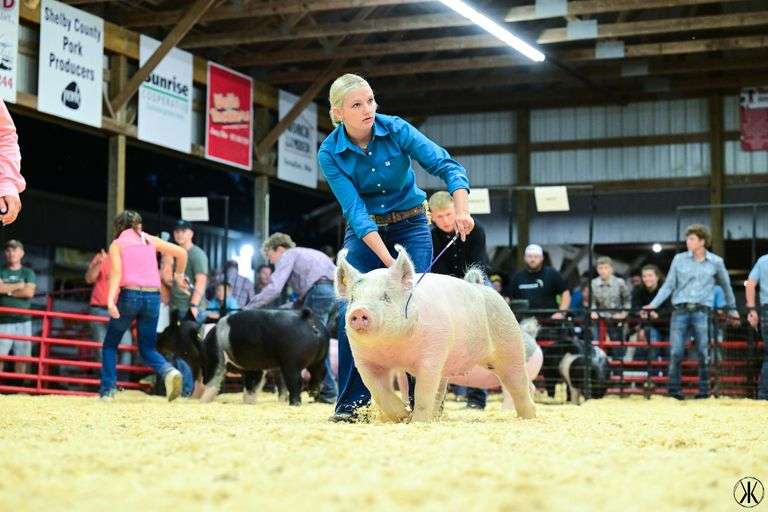 Atlie  Zimpfer  Anna Livestock