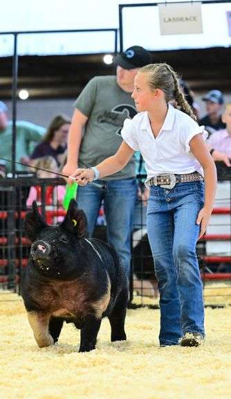 Jentry  Hoying  Anna Livestock