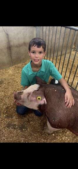 Cole  Ruhenkamp  Ft. Loramie Livestock