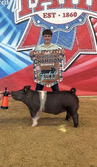 Mason  Wagner  Botkins Livestock