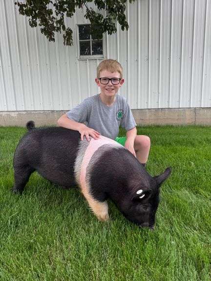 Corbin  Jones  Anna Livestock