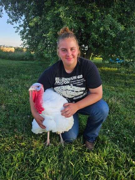 Arianna Bench Livestock Unlimited