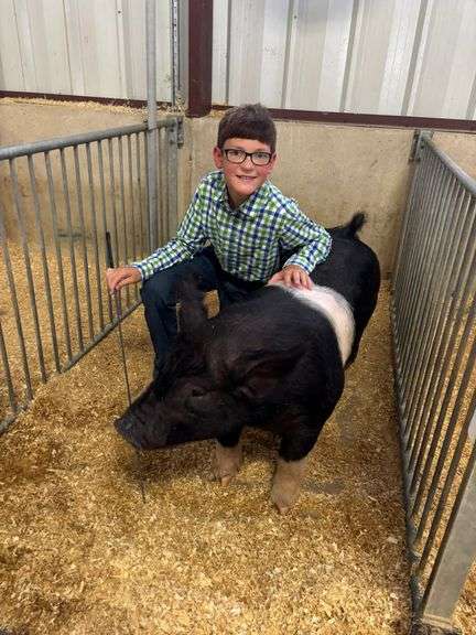 Caleb  Lotz  Ft. Loramie Livestock