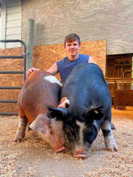 Tucker  Chappie  Houston Livestock 4-H Club