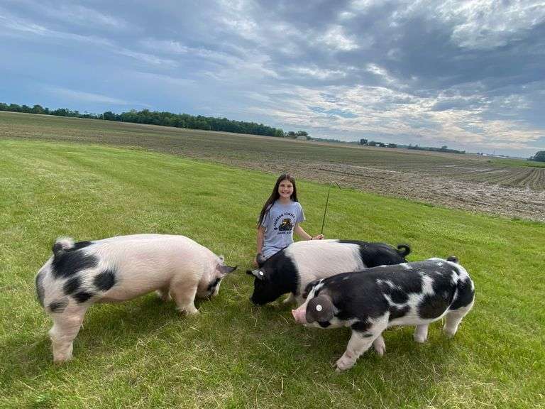 Natalie  Pence  Progressive Livestock