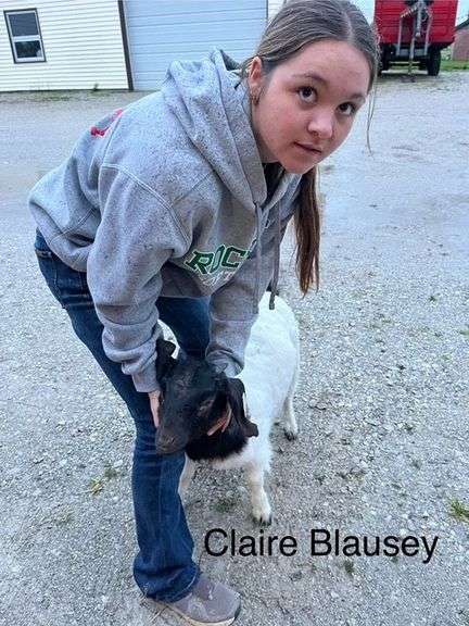 Claire Blausey Ottawa County Lambchops