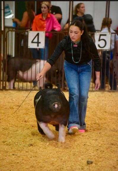 Lilly Hallam Horizons 4H camp