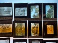 A lot of lantern slides. Nice variety.