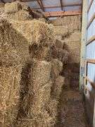 Approximately 400 to 500 straw bales in barn. Appears dry kept in modern garage. Easy loadout does not include anything else.
