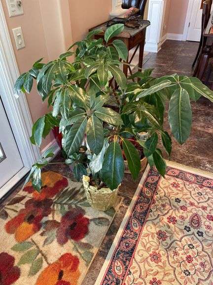 Sunroom. Two floral rugs. With decor and faux plant. Vases basket and faux plants.
