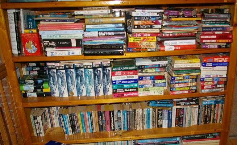 Three shelves of books