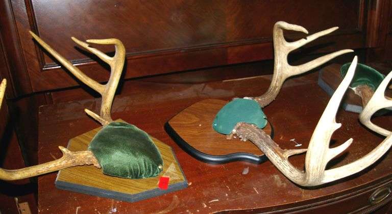 2 Pair Deer Antlers