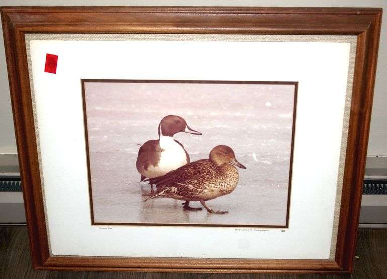 Framed Print Ducks 24"x20" Artist Heather Davidson