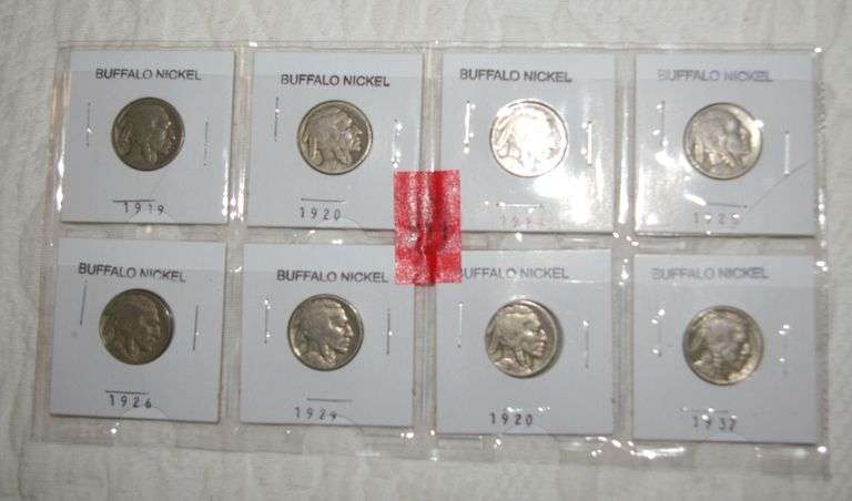 8 Buffalo Head Nickels