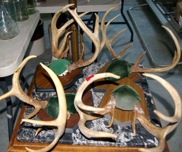 4 Sets of Deer Antlers