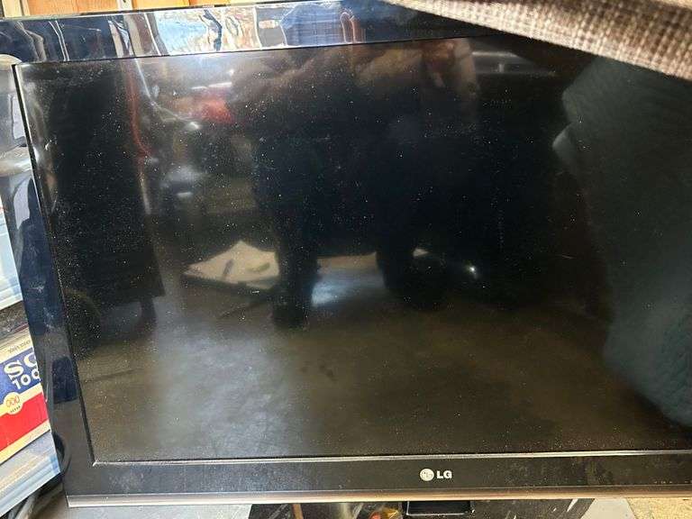 LG 48" TV