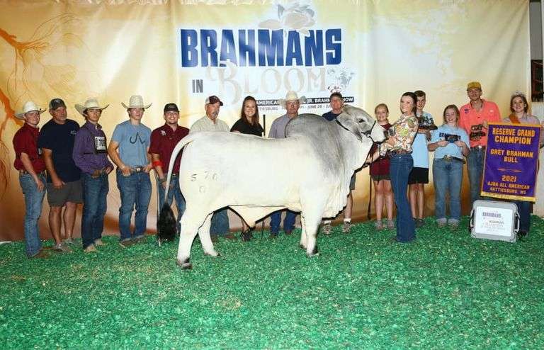 SEMEN: PCC BACK TO THE FUTURE 570/0