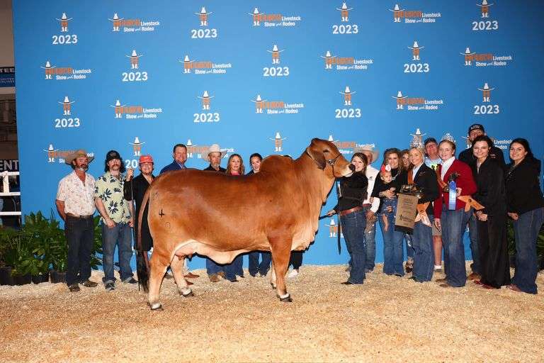 FEMALE SEXED EMBRYOS: +MR. V8 279/7 X PCC MARIAH 47/0