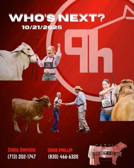 Phillip Cattle Company " Who's Next" Online Sale