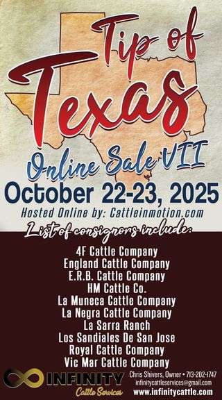 Infinity Cattle Services Presents Tip Of Texas Online Brahman Sale - 2025